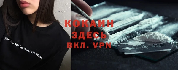 ПСИЛОЦИБИНОВЫЕ ГРИБЫ Медвежьегорск