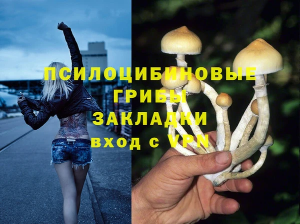 a pvp Михайловка