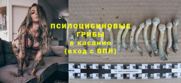 СК Михайлов