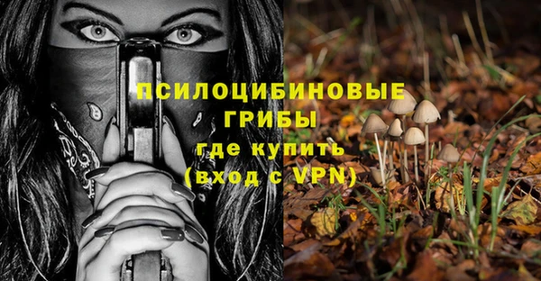 ПСИЛОЦИБИНОВЫЕ ГРИБЫ Медвежьегорск
